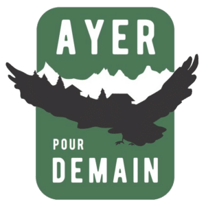 Logo Ayer pour Demain avec silhouette d'aigle et montagnes.