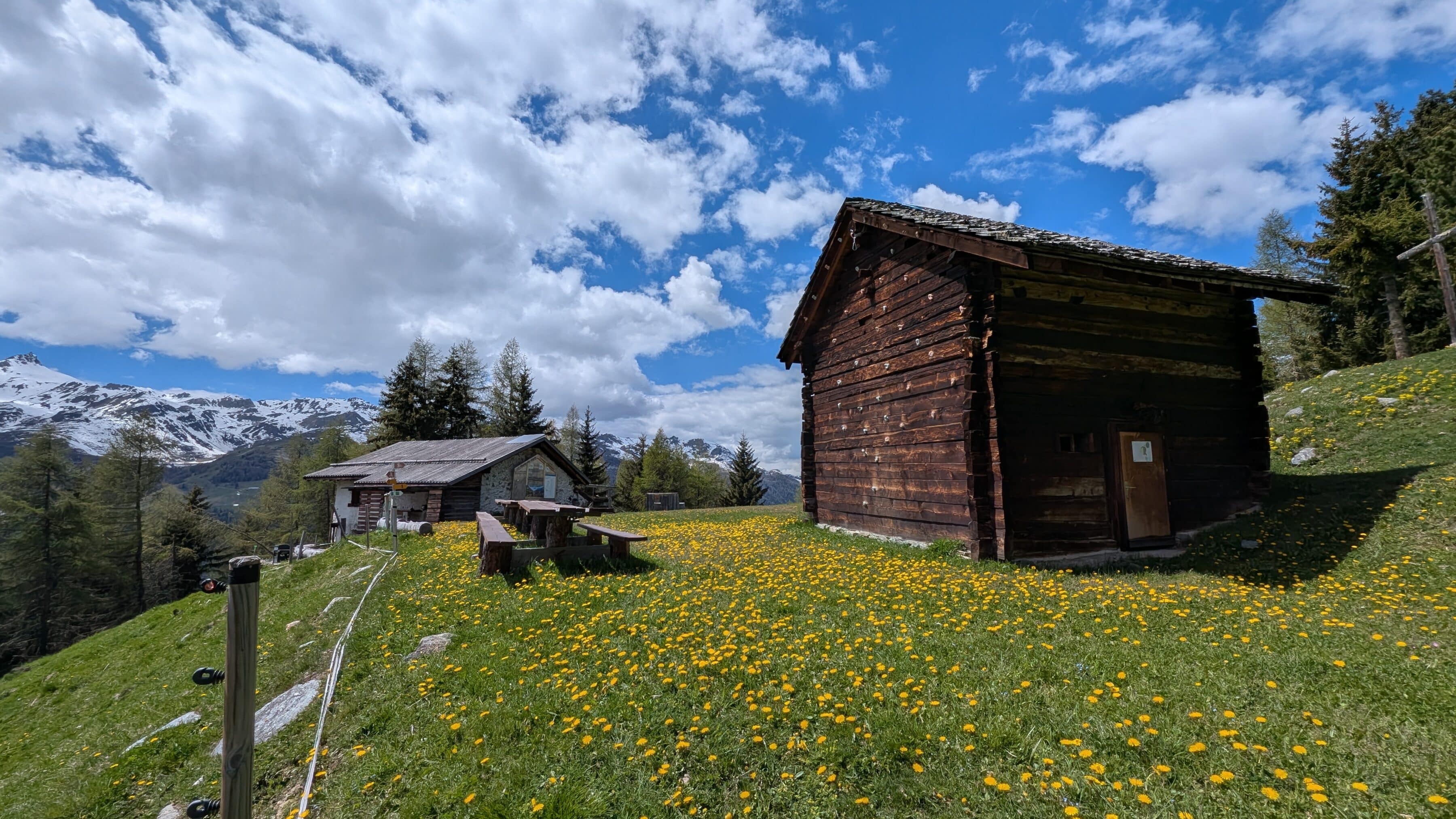 Chalets en bois dans une prairie de montagne fleurie.