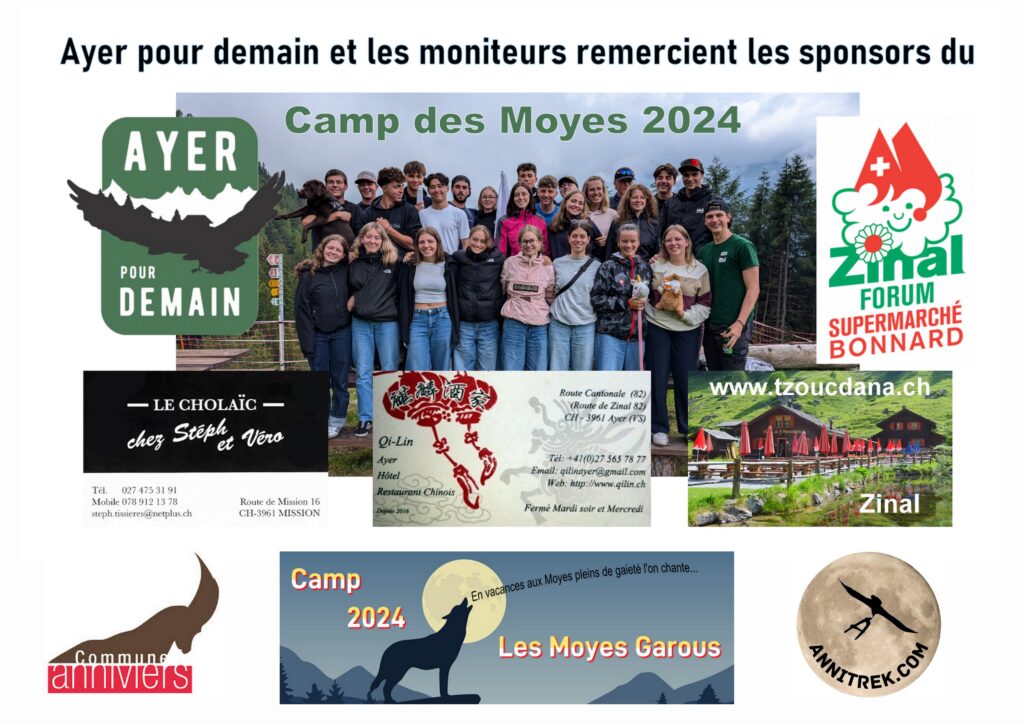 Collage de remerciement du Camp des Moyes 2024 à ses sponsors.